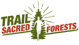 Trail Sacred Forest