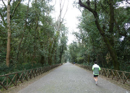 Bosco di Capodimonte di Napoli